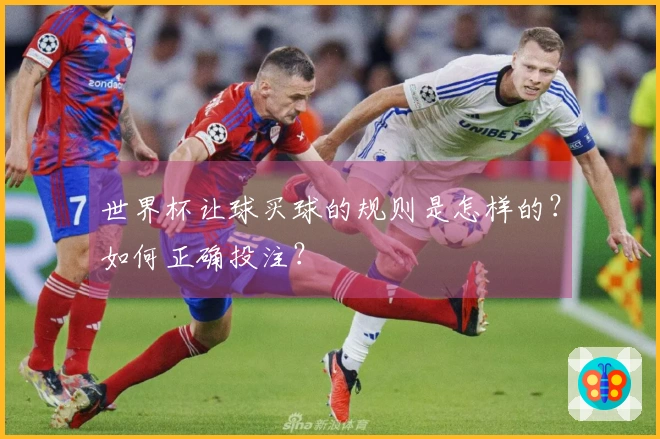 世界杯让球买球的规则是怎样的？如何正确投注？