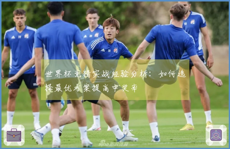 世界杯竞猜实战经验分析：如何选择最优方案提高中奖率