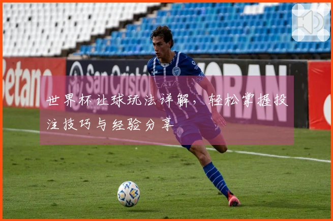 世界杯让球玩法详解，轻松掌握投注技巧与经验分享