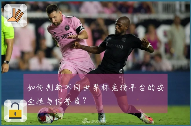 如何判断不同世界杯竞猜平台的安全性与信誉度？