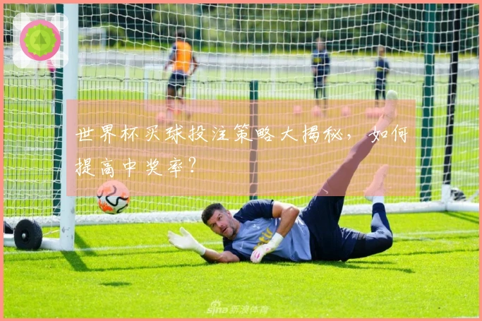 世界杯买球投注策略大揭秘，如何提高中奖率？