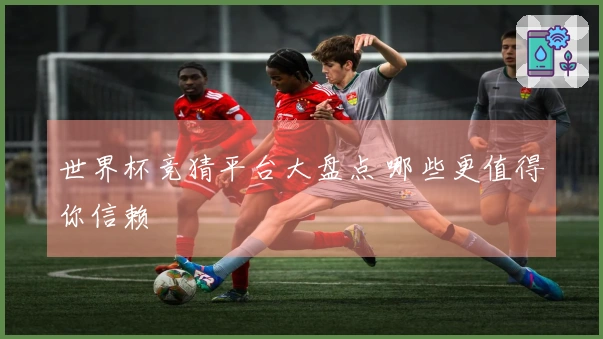 世界杯竞猜平台大盘点 哪些更值得你信赖