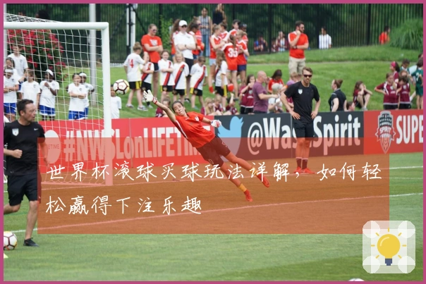 世界杯滚球买球玩法详解，如何轻松赢得下注乐趣