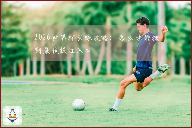 2026世界杯买球攻略：怎么才能找到最佳投注入口