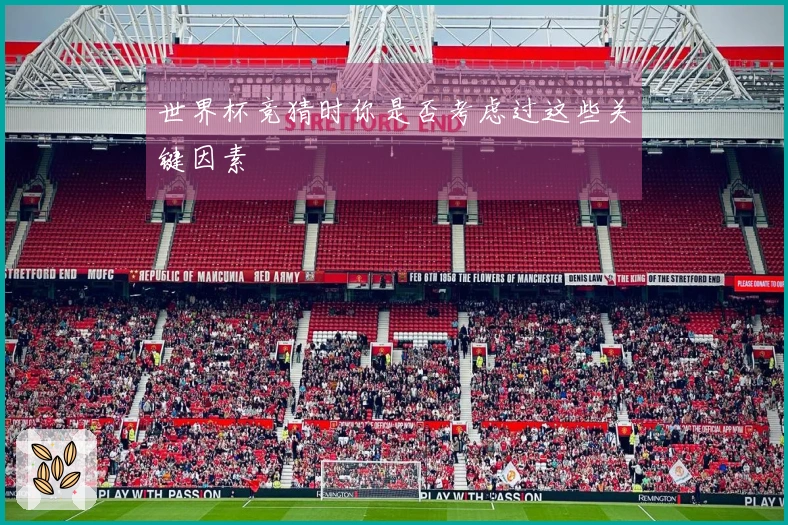 世界杯竞猜时你是否考虑过这些关键因素