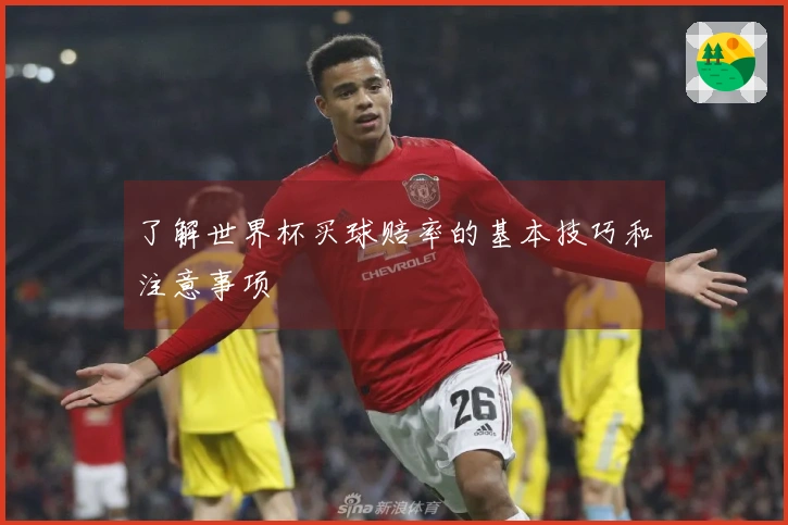 了解世界杯买球赔率的基本技巧和注意事项