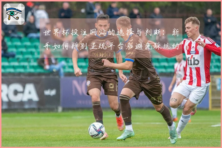 世界杯投注网站的选择与判断：新手如何辨别正规平台和避免踩坑的技巧